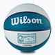 Міні м'яч баскетбольний  Wilson NBA Team Retro Mini Charlotte Hornets WTB3200XBCHA розмір 3 6