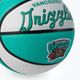 Міні м'яч баскетбольний  Wilson NBA Team Retro Mini Memphis Grizzlies WTB3200XBMEM розмір 3 3