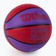 Міні м'яч баскетбольний  Wilson NBA Team Retro Mini Toronto Raptors WTB3200XBTOR розмір 3 2