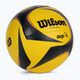 М'яч для пляжного волейболу Wilson AVP ARX Game WTH00010XB 2
