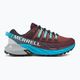 Кросівки для бігу жіночі Merrell Agility Peak 4 бордово-блакитні J067546 2