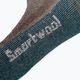 Шкарпетки для трекінгу Smartwool Hike Classic Edition Full Cushion Crew chestnut SW010294207 3