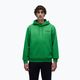 Кофта чоловіча Napapijri B-Linth Hooded green kelly