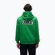 Кофта чоловіча Napapijri B-Linth Hooded green kelly 3