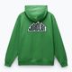 Кофта чоловіча Napapijri B-Linth Hooded green kelly 6