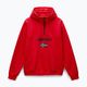 Кофта чоловіча Napapijri Burgee Half Zip Hooded 2.0 red goji 5