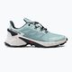 Кросівки для бігу жіночі Salomon Supercross 4 зелені L41737300 2