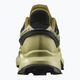 Кросівки для бігу чоловічі Salomon Supercross 4 GTX чорно-зелені L41731700 9