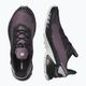 Кросівки для бігу жіночі Salomon Alphacross 4 moonscape/black/lunr 14