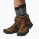 Взуття трекінгове чоловіче Salomon Quest 4 GTX коричневе L47156400 15