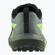 Кросівки для бігу чоловічі Salomon Sense Ride 5 black/laurel wreath/green gecko 10