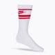 Шкарпетки тренувальні Nike Sportswear Everyday Essential біло-червоні DX5089-102