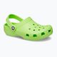 Дитячі шльопанці Crocs Classic Clog T limeade 9