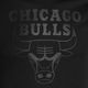 Футболка чоловіча New Era NOS NBA Regular Tee Chicago Bulls 60416757 black 3