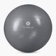 М'яч гімнастичний Sveltus Gymball grey 0440 65 cm