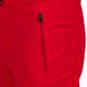 Чоловічі гірськолижні штани Rossignol Siz sport red 5