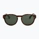 Жіночі сонцезахисні окуляри ROXY Vertex Polarized черепахові коричневі/зелені 2