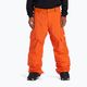 Чоловічі сноубордичні штани DC Banshee orangeade