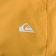 Чоловічі сноубордичні штани Quiksilver Estate мінерально-жовтого кольору 4