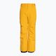 Дитячі сноубордичні штани Quiksilver Estate Молодіжні мінерально-жовті 5
