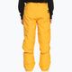 Дитячі сноубордичні штани Quiksilver Estate Молодіжні мінерально-жовті 2
