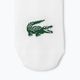 Шкарпетки Lacoste RA7872 3 пари white 2