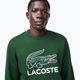 Кофта чоловіча Lacoste SH1281 green 4