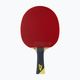 Ракетка для настільного тенісу Tibhar Master Yellow Edition