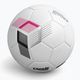 Гібридний футбольний м'яч Capelli Tribeca Metro Competition AGE-5881 розмір 5 4