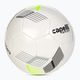 Футбольний м'яч Capelli Tribeca Metro Team AGE-5902 розмір 5 2