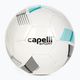 Футбольний м'яч Capelli Tribeca Metro Team AGE-5884 розмір 5