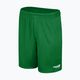 Дитячі футбольні шорти Capelli Sport Cs One Adult Match зелені/білі 4