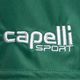 Дитячі футбольні шорти Capelli Sport Cs One Youth Match зелений/білий 3