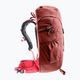 Дитячий туристичний рюкзак Deuter Climber 22 л червоне дерево/гібіскус 3