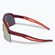 Сонцезахисні окуляри DYNAFIT Ultra Evo burgundy/hot coral 4