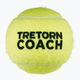 Тенісні м'ячі Tretorn Coach 72 шт. зелені 474402 2