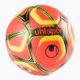 Футбольний м'яч uhlsport Triompheo Ballon Officiel Winter 1001710012020 Розмір 5 2