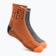 Шкарпетки трекінгові чоловічі Salewa MTN TRN Sal. AM QRT сіро-коричневі 00-0000069028