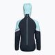 Куртка для бігу жіноча DYNAFIT Alpine GTX marine blue 6