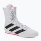 Взуття для боксу  adidas Box Hog 3 біло-чорне GV9975