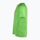 Чоловіча футболка FILA Riverhead жасминовий зелений 7