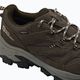 Черевики трекінгові Jack Wolfskin Vojo Tour Texapore Low cold coffee 5