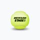Тенісні м'ячі дитячі Dunlop Stage 1 3 шт. зелені 601338 3