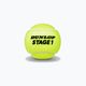 Тенісні м'ячі дитячі Dunlop Stage 1 60 шт. зелені 601342 2