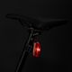 Набір велосипедних ліхтариків CatEye Ampp 100 Hl-El041Rc / Viz100 Tl-Ld800B 8900010 6
