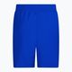 Шорти для плавання чоловічі Nike Essential 5" Volley блакитні NESSA560-494