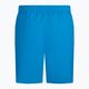 Шорти для плавання чоловічі Nike Essential 5" Volley блакитні NESSA560-406 2