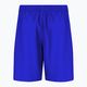 Шорти для плавання дитячі Nike Essential 4" Volley блакитні NESSB866-447 2