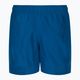 Шорти для плавання чоловічі Nike Essential 5" Volley сині NESSA560-444 2