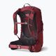 Рюкзак туристичний жіночий Gregory Jade S-M 28 l ruby red 6